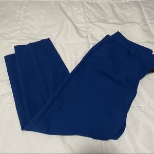 Blue Express Editor Work Pants